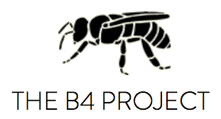 B4Project