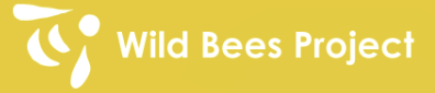 logo wild bee project